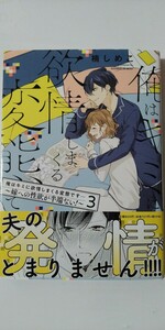 3月新刊*俺はキミに欲情しまくる変態です…　嫁への性欲が半端ない！③*ｖｉｖｉＯＮ　ＴＨＯＴＨ　ＰＩＬＬＯＷ*楠しめこ