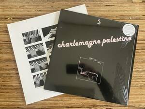 Charlemagne Palestine LP 2枚セット　Steve Reich / Terry Riley / La Monte Young / Philip Glass / John Cage / Brian Eno