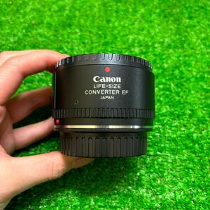 Canon LIFE-SIZE CONVERTER EFマクロ100ミリ用レンズの画像2