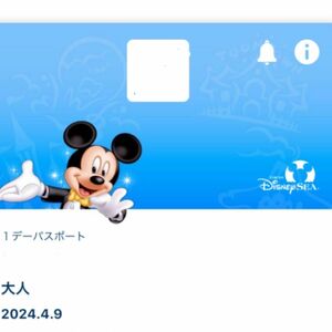 ディズニーシー　グッズ購入用　チケット　4月9日