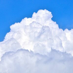 相互評価 入札制限なし 評価回復 空雲の画像1