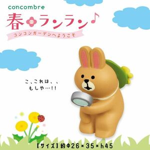 DECOLE concombre 自然観察うさぎ デコレ コンコンブル 春 