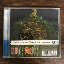 (B511)帯付 中古CD100円 チームしゃちほこ　愛の地球祭 (名古屋 & 会場限定盤)_画像1