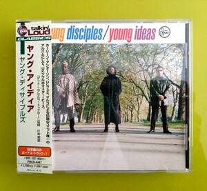 国内盤CD 帯付き ヤング ディサイプルズ Young Disciples Young Ideas カーリーン アンダーソン アシッドジャズ