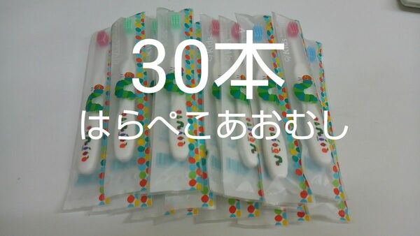 歯科医院専用子供歯ブラシ　はらぺこあおむし　30本セット　