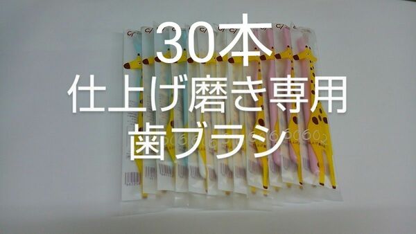 歯科医院専用仕上げ磨き専用の歯ブラシ　Ci602 ふつう　30本セット(Ci603やわらかめに変更可能)