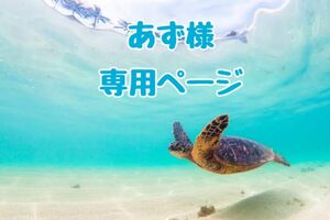 海のイニシャルキーホルダー【ホヌ】