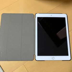 iPad air2 Cellular