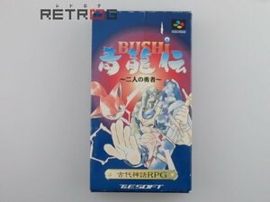 BUSHI青龍伝 二人の勇者 スーパーファミコン SFC スーファミ