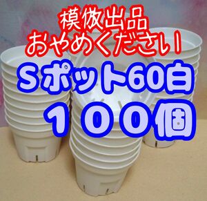 《Sポット60》 白 100個 スリット鉢 プラ鉢 2号相当 植木鉢 多肉植物 プレステラ 丸