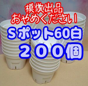 《Sポット60》 白 200個 スリット鉢 プラ鉢 2号相当 植木鉢 多肉植物 プレステラ 丸