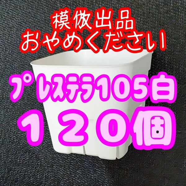 《プレステラ105》白 120個 スリット鉢 プラ鉢 3.5号鉢 相当 多肉植物