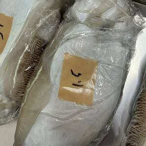 活き〆 冷凍 紋号イカ 甲イカ イカ 1匹 刺身用 1.5kgの画像1