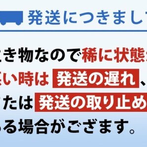 【送料無料】 即日発送 ゾウリムシ 900ml メダカの餌 針子 稚魚 餌 生き餌 エサ ぞうりむし ミジンコ みじんこ クロレラ めだかの画像9