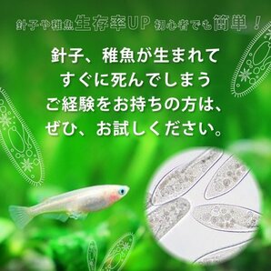 【送料無料】 即日発送 ゾウリムシ 300ml メダカの餌 針子 稚魚 餌 生き餌 エサ ぞうりむし ミジンコ みじんこ クロレラ めだかの画像2