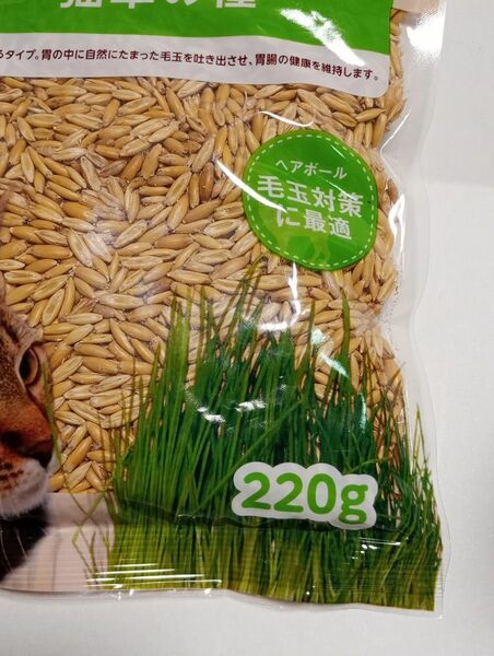 犬猫の草の種　220g エン麦　愛犬　猫草の種　キャットグラス　消費期限2025年12月