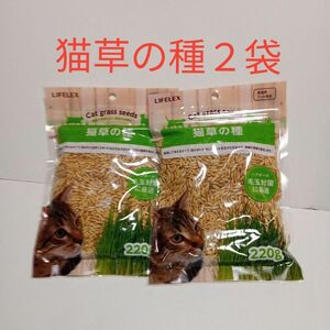 猫草の種(220ｇ)　×　２袋 まとめ買いがお得　有効期限：2025.11.01 毛玉吐き出し 胃腸の健康維持