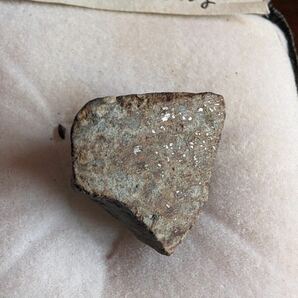 石質隕石 (chondrite コンドライト) NWA869 モロッコ サハラ砂漠 標本の画像5