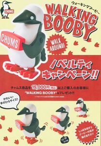 CHUMS WALKING BOOBY 非売品