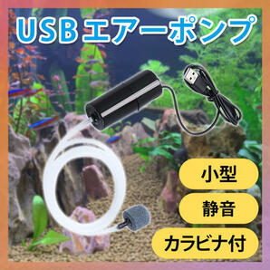 エアーポンプ エアレーション USB 小型 水槽 アクアリウム 釣り 魚 金魚の画像1