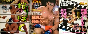 格闘技通信　週刊プロレス　3冊セット　PRIDE.3,10,17　桜庭和志ヘンゾ・グレイシー石澤常光ヴァンダレイ・シウバ高田延彦藤田和之ほか