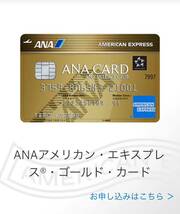 【正規紹介】ANAアメリカンエキスプレスゴールドカード 特典 110,000マイル アメックス AMEX _画像1