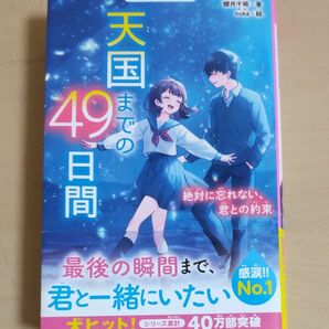 天国までの４９日間　絶対に忘れない、君との約束 （野いちごジュニア文庫　さ２－１） 櫻井千姫／著　ｎｏｋａ／絵