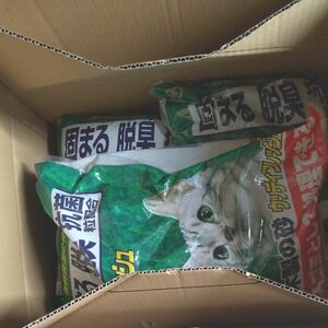 ウッディフレッシュ　7L　3袋セット 猫砂 アイリスオーヤマ