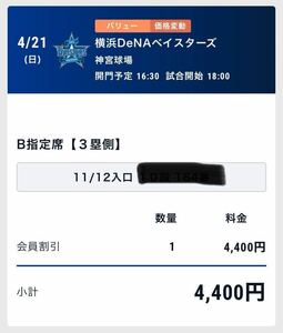 神宮球場 4/21 3塁側ブルペン目の前　横浜DeNAベイスターズ対東京ヤクルト 3塁側内野指定席B 7〜14段　154〜169