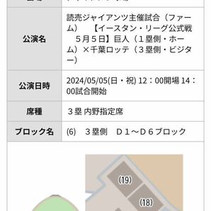 5/5 GW特別試合 ブロック最前列通路側連番 3塁側裏内野指定席 1列 読売ジャイアンツvs千葉ロッテ  2枚連番 ■G球場 春の運動会の画像1