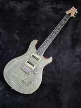 Paul Reed Smith (PRS) SE Custom24 30th Anniversary Limited Edition Trampas Green_画像1