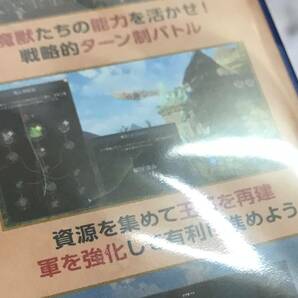 E02-2371 1円スタート 未開封品 PS4ソフト THE DRAGONESS COMMAND OF THE FLAME PS5アップグレード対応 プレステ4ソフトの画像4