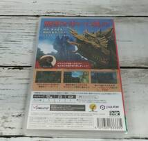 E02-2374　1円スタート　未開封品　Switchソフト　THE DRAGONESS COMMAND OF THE FLAME　スイッチソフト_画像2