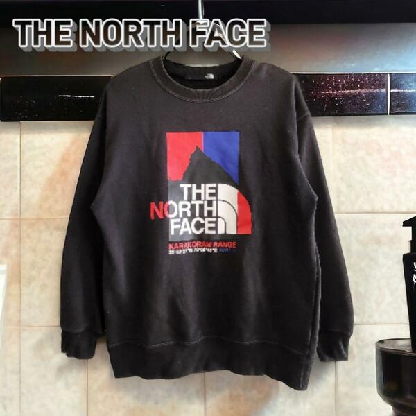 THE NORTH FACE ノースフェイス トレーナー メンズ ブラック XS