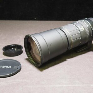 S915 SIGMA カメラレンズ 170-500mm 1:5-6.3 APO φ86 3m/9.8ft 3.2m/10.5ft シグマ キャノン用の画像1