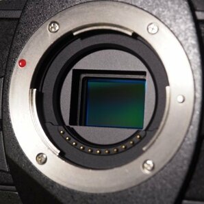 S960 OLYMPUS デジタルミラーレス一眼カメラ OM-D E-M1 ボディのみ ブラック バッテリー付属 オリンパスの画像10