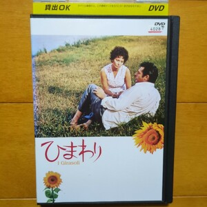 ひまわり レンタル落ちDVD ソフィア・ローレン　レンタルケース発送