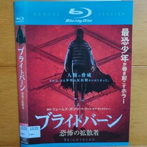 ブライトバーン 恐怖の拡散者 レンタル落ちブルーレイ ケース無し 紙ジャケットとディスクのみ　エリザベス・バンクス_画像1