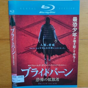 ブライトバーン 恐怖の拡散者 レンタル落ちブルーレイ ケース無し 紙ジャケットとディスクのみ　エリザベス・バンクス