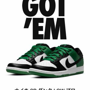 sneakersにて当選　SB DUNK LOW PRO "CLASSIC GREEN" 