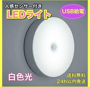 センサーライト 白色光 室内 人感 LED 廊下 天井 USB 明暗 白色