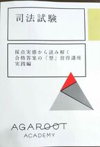 採点実感から読み解く合格答案の「型」習得講座　予備試験　司法試験_画像2