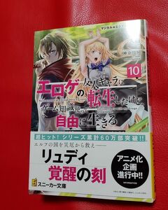 エロゲの友人キャラに転生したけど、ゲーム知識使って自由に生きる　マジカル★エクスプローラー　１０ （角川スニーカー文庫　 入栖／著