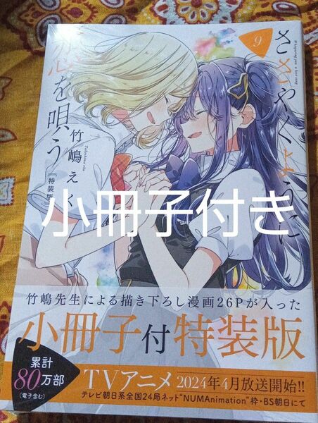 ささやくように恋を唄う 9巻　特装版　小冊子付き