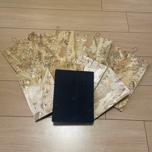 [ red character!][bikak board assortment 9 point ②] board staghorn fern Platycerium platycerium