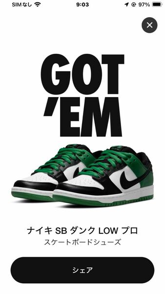 Nike SB Dunk Low Pro "Black and Classic Green"