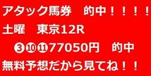 3連単万馬券のルール化　毎週安定的に的中　馬券概念を変える・・・不変の確率論が助けてくれる！_画像4