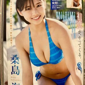 ヤングマガジン2024年21号 沢口愛華 本郷柚巴 桑島海空 GAL祭り応募券付きチェキ応募用紙QUOカード プレ 新品 送料無料 510円の画像6