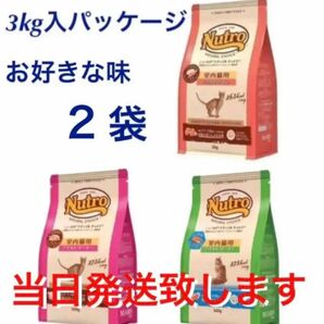 ニュートロ　ナチュラルチョイス　キャット　アダルト　チキン　ターキー　サーモン　プロ/フード　猫用