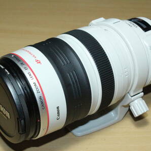 Canon EF28-300mm F3.5-5.6L IS USMの画像1